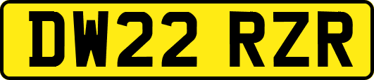 DW22RZR