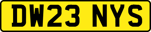 DW23NYS