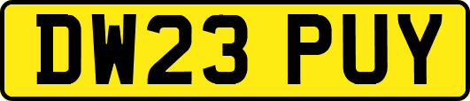 DW23PUY