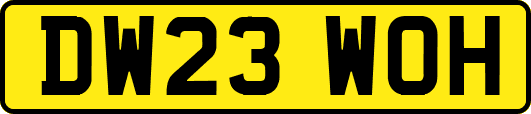 DW23WOH