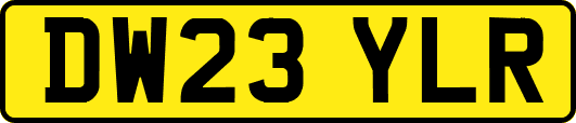 DW23YLR