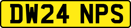 DW24NPS