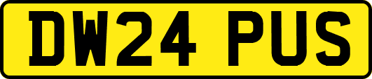 DW24PUS
