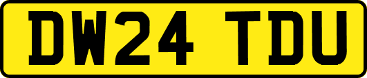 DW24TDU