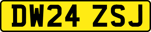 DW24ZSJ