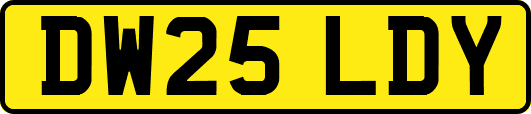 DW25LDY