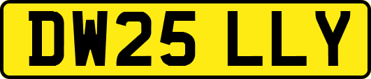 DW25LLY