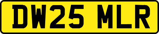 DW25MLR