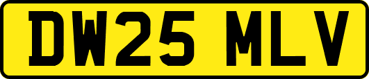 DW25MLV