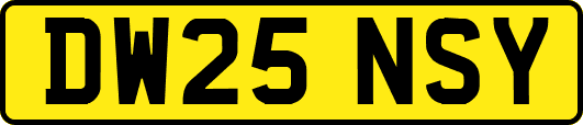 DW25NSY