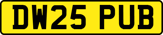 DW25PUB