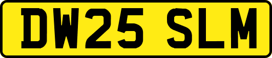 DW25SLM