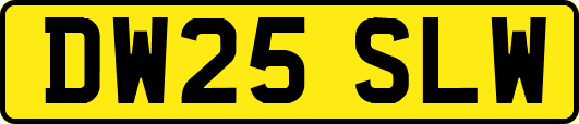 DW25SLW