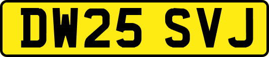 DW25SVJ