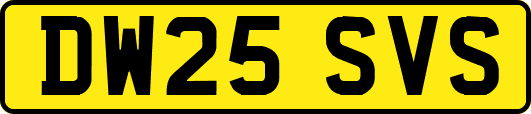 DW25SVS