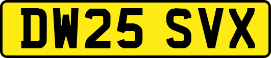 DW25SVX