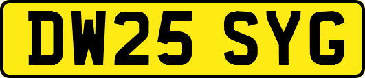 DW25SYG