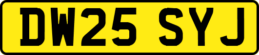 DW25SYJ