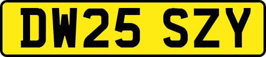 DW25SZY