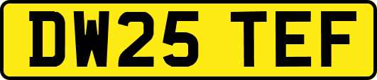 DW25TEF