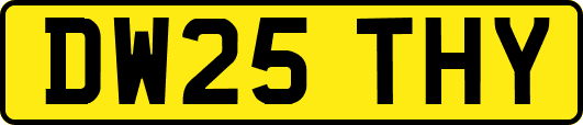 DW25THY