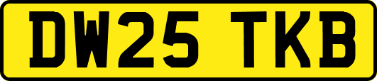 DW25TKB