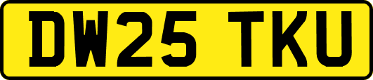 DW25TKU