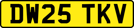 DW25TKV