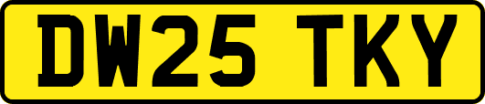 DW25TKY