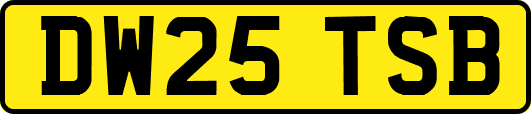 DW25TSB