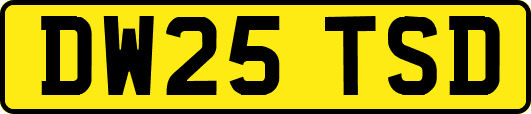 DW25TSD