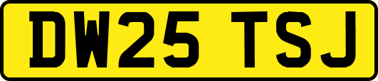 DW25TSJ