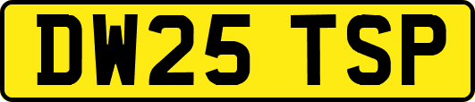 DW25TSP