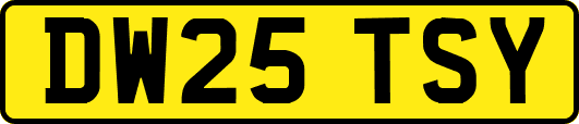 DW25TSY