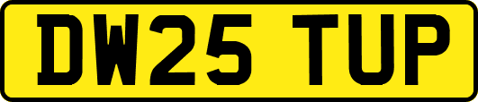 DW25TUP