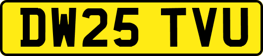 DW25TVU