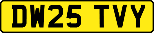 DW25TVY