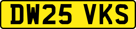 DW25VKS