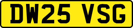DW25VSG