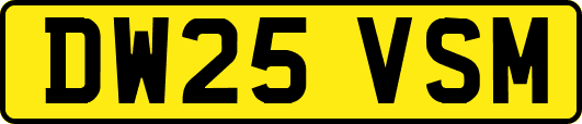 DW25VSM