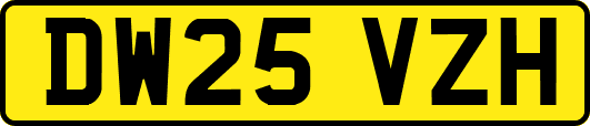 DW25VZH