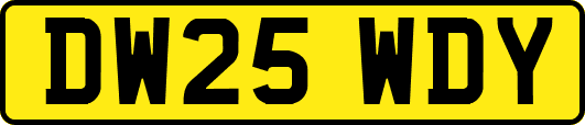 DW25WDY