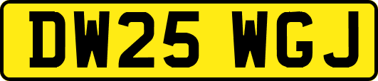DW25WGJ