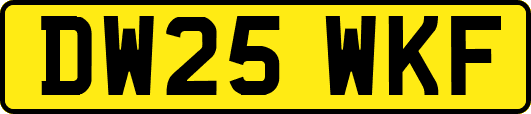 DW25WKF