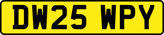 DW25WPY