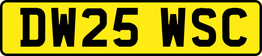 DW25WSC