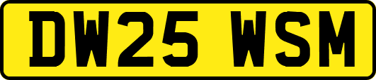 DW25WSM