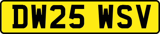DW25WSV