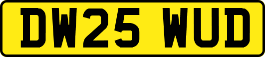 DW25WUD
