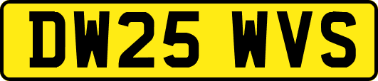 DW25WVS